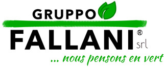 Gruppo Fallani Srl